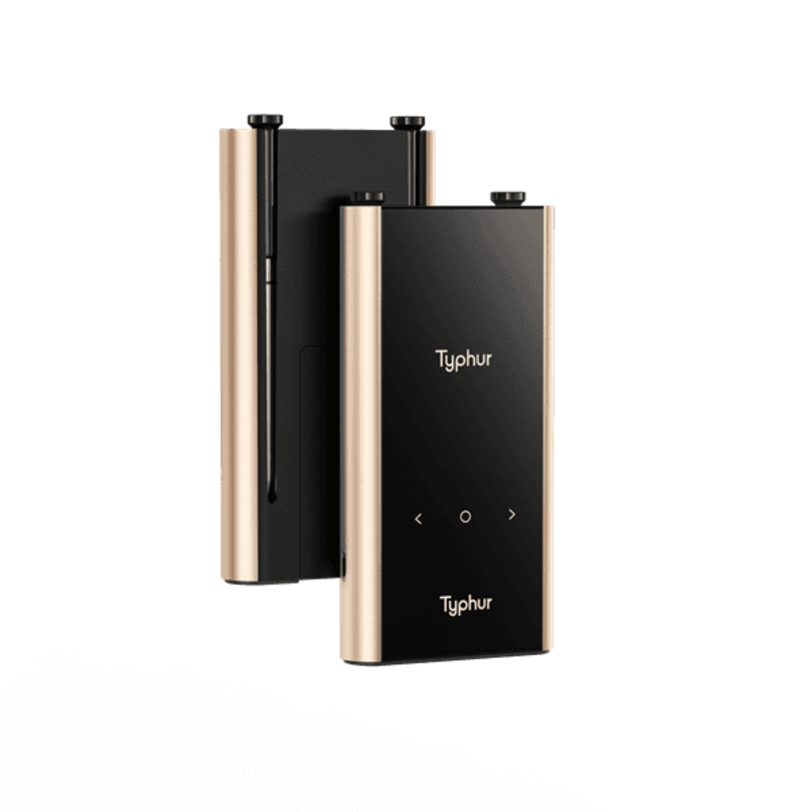 Typhur Typhur Thermometer Sync Gold Dual
