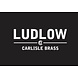 Ludlow Foundries Smeedijzeren kastdeurknop 30mm - pewter finish Ludlow Foundries Smeedijzeren kastdeurknop 30mm - pewter finish