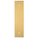 Fingertip Designs Harmonise achterplaat voor meubelgrepen | 168 x 40mm | Satijn Messing Fingertip Designs Harmonise achterplaat voor meubelgrepen | 168 x 40mm | Satijn Messing