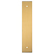 Fingertip Designs Harmonise achterplaat voor meubelgrepen | 200 x 40mm | Satijn Messing Fingertip Designs Harmonise achterplaat voor meubelgrepen | 200 x 40mm | Satijn Messing