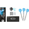 Target Phil Taylor Brass 2022 Brass Set 22 Pieces Soft Tip Darts