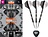 Target Raymond van Barneveld x Echo Swiss Point 95% Steel Tip Darts