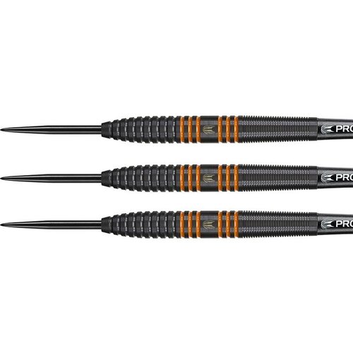 Target Target Raymond van Barneveld 80% Black Steel Tip Darts