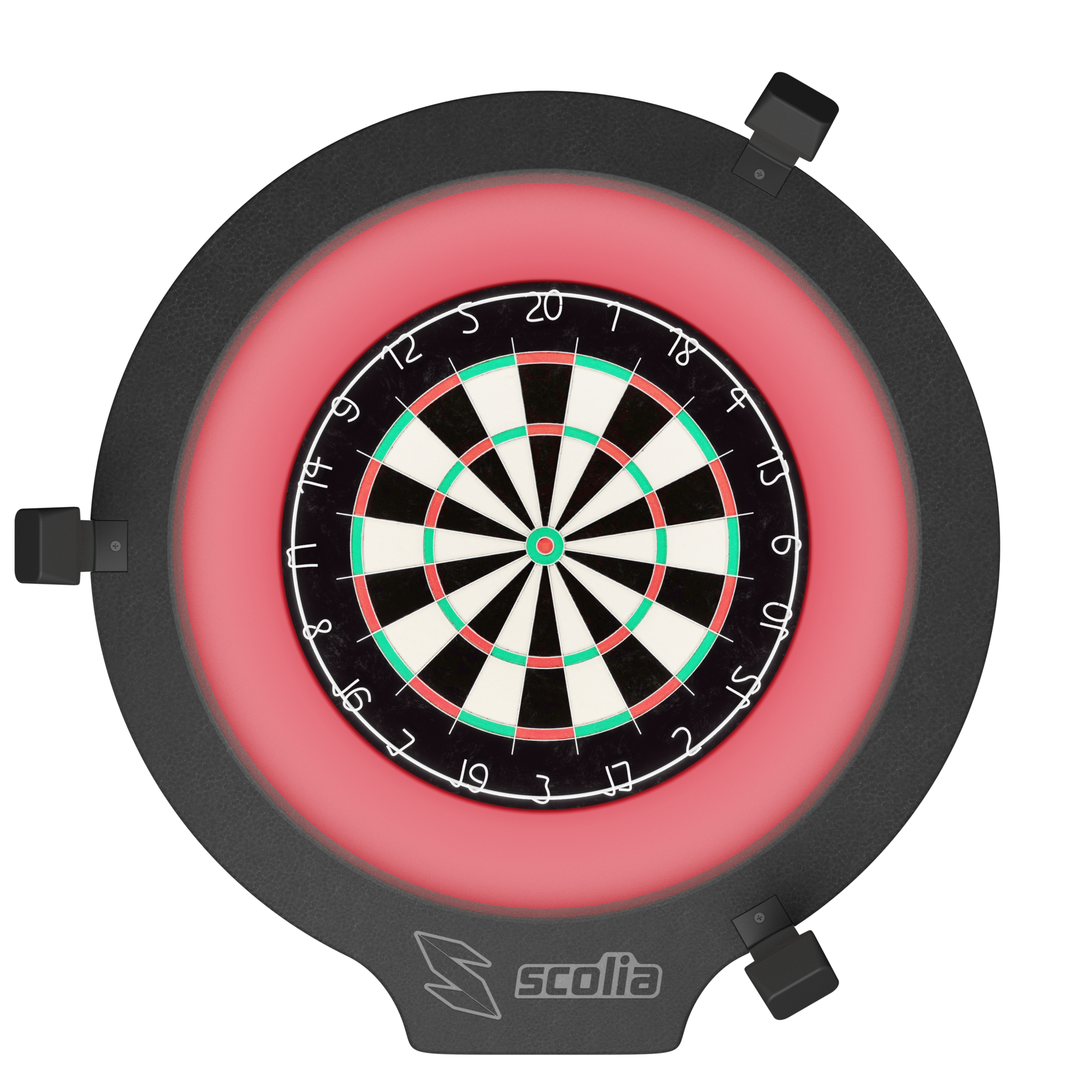 Scolia darts discount