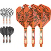 Target Target Raymond van Barneveld Ink Flight Shaft Kit Darts Flights