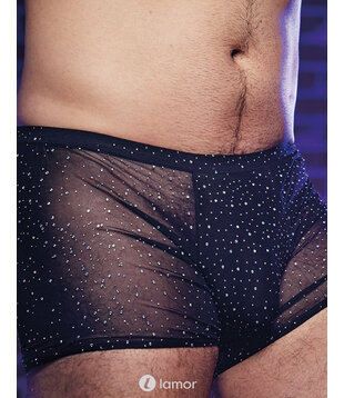 Radiance Boxer Brief, CE12278