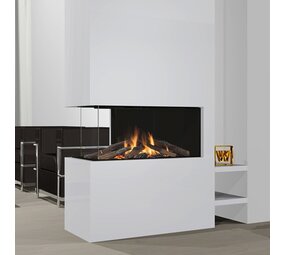 Wanders Fires & Stoves Wanders Danta 800 driezijdig