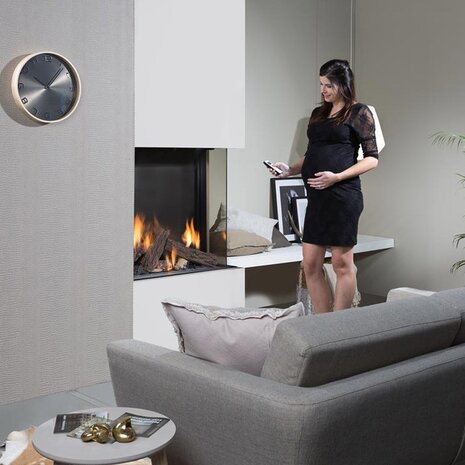 Wanders Fires & Stoves Wanders Lenga 800 hoek Wanders Fires & Stoves Wanders Lenga 800 hoek