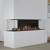 Wanders Fires & Stoves Wanders Danta 1400 vijfzijdig