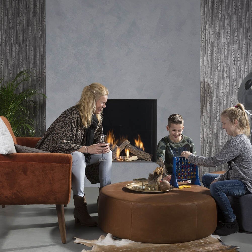 Wanders Fires & Stoves Wanders Lenga 800 front