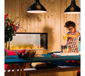 Faber Faber e-BoX 1000/450 Doorkijkhaard