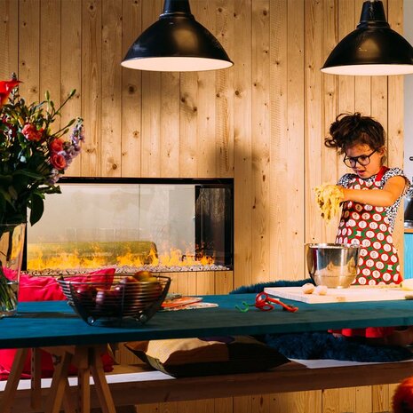 Faber Faber e-BoX 1000/450 Doorkijkhaard Faber Faber e-BoX 1000/450 Doorkijkhaard