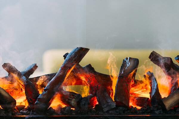 Faber Faber e-BoX 1000/450 Doorkijkhaard Faber Faber e-BoX 1000/450 Doorkijkhaard