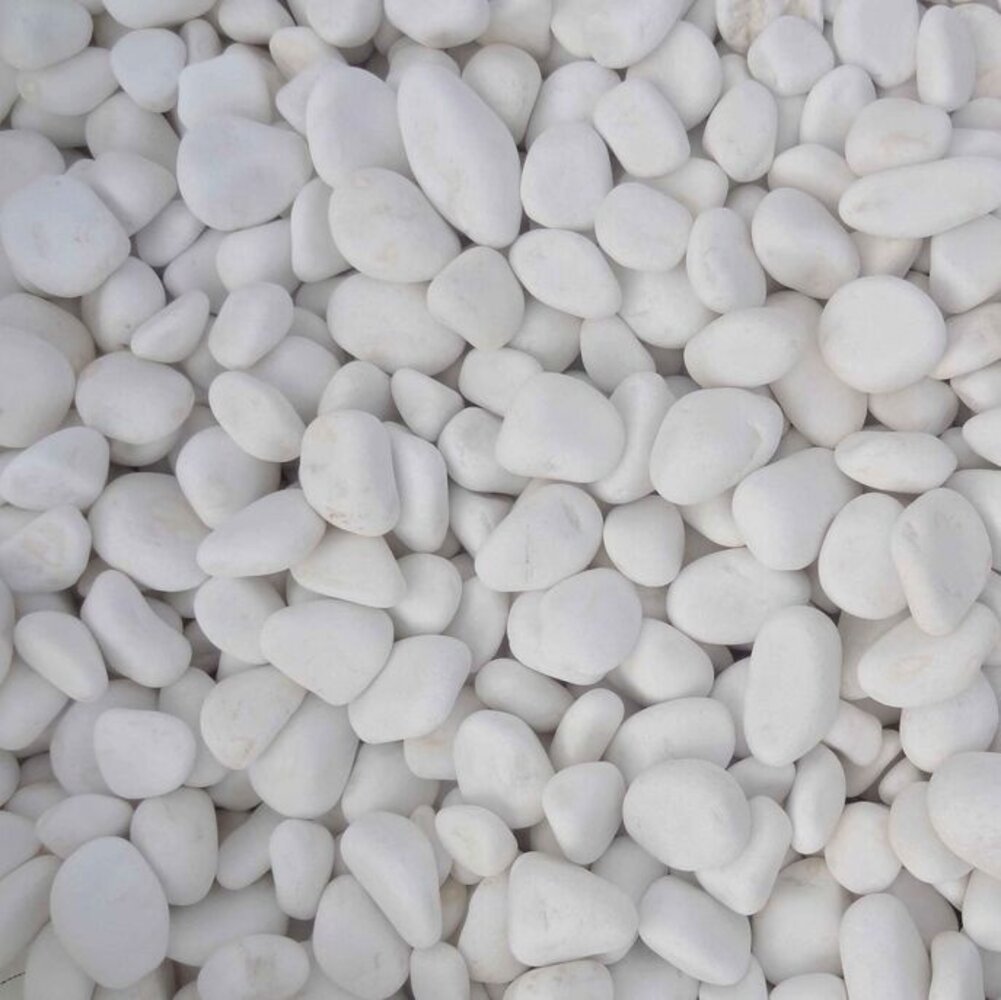 Xaralyn 5 kg witte kiezelstenen (gewassen)