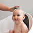 Shnuggle Shnuggle baby bath brush
