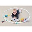 taf toys All-around-me activity hoop