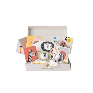 taf toys Newborn develop & play kit