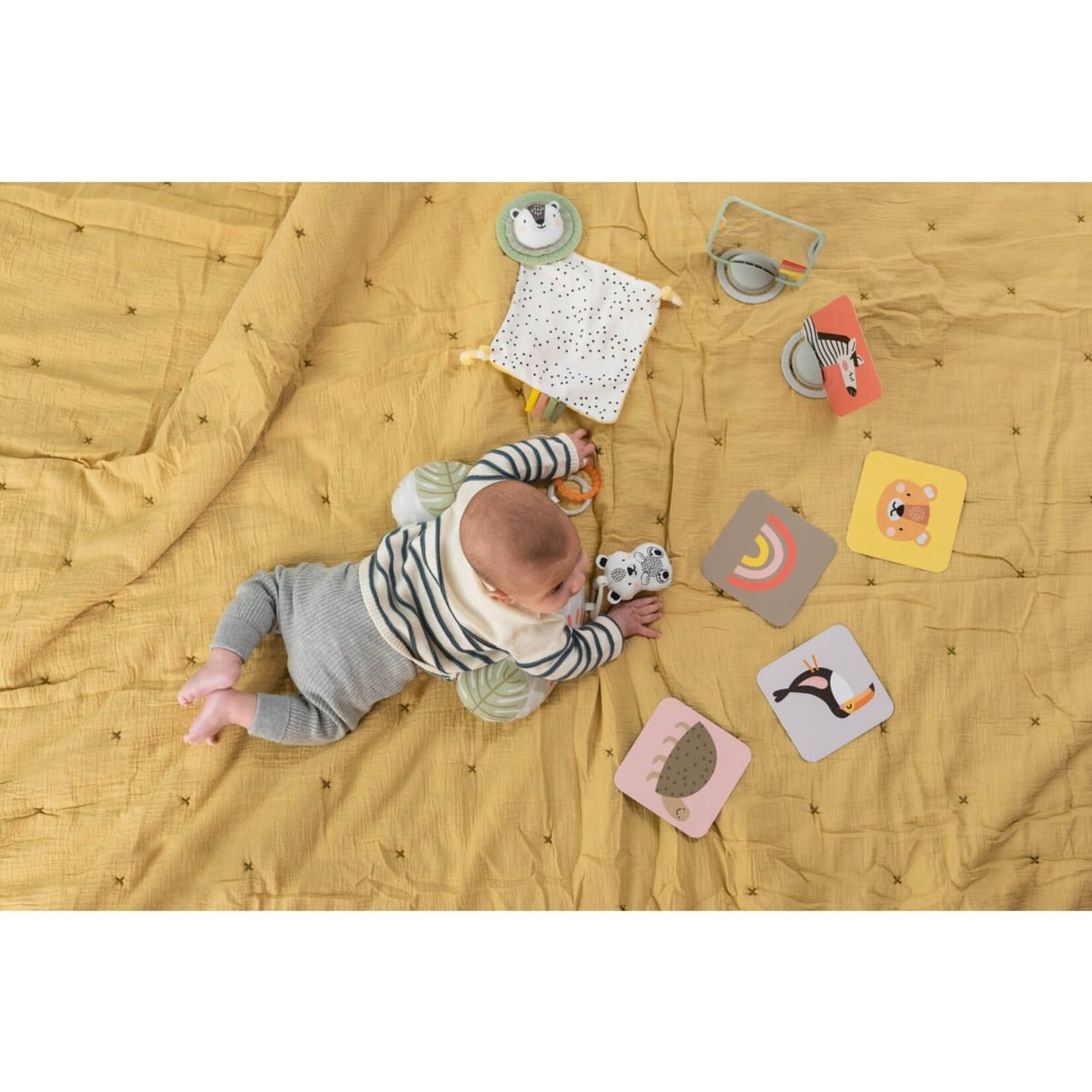 taf toys Newborn develop & play kit