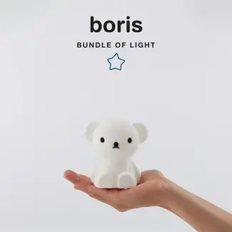 mr maria Boris bundle of light