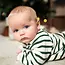 Little Prince London Sweatshirt bottle green stripes