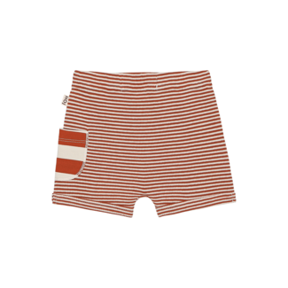 house of jamie Baby boys shorts - baked apple stripes