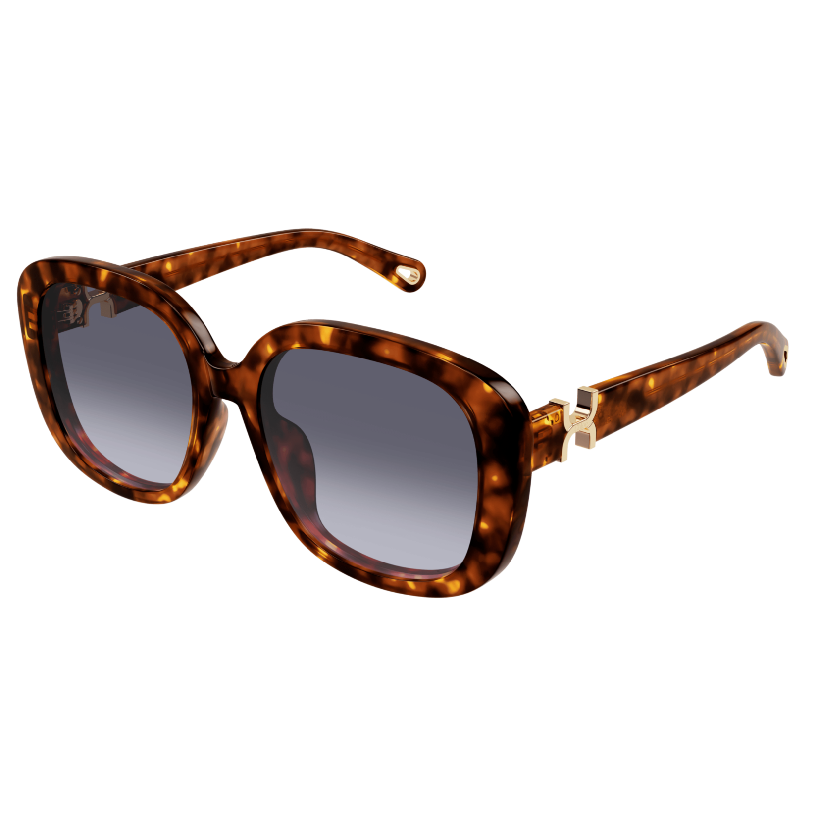 Chloé Chloé CH0303SK
