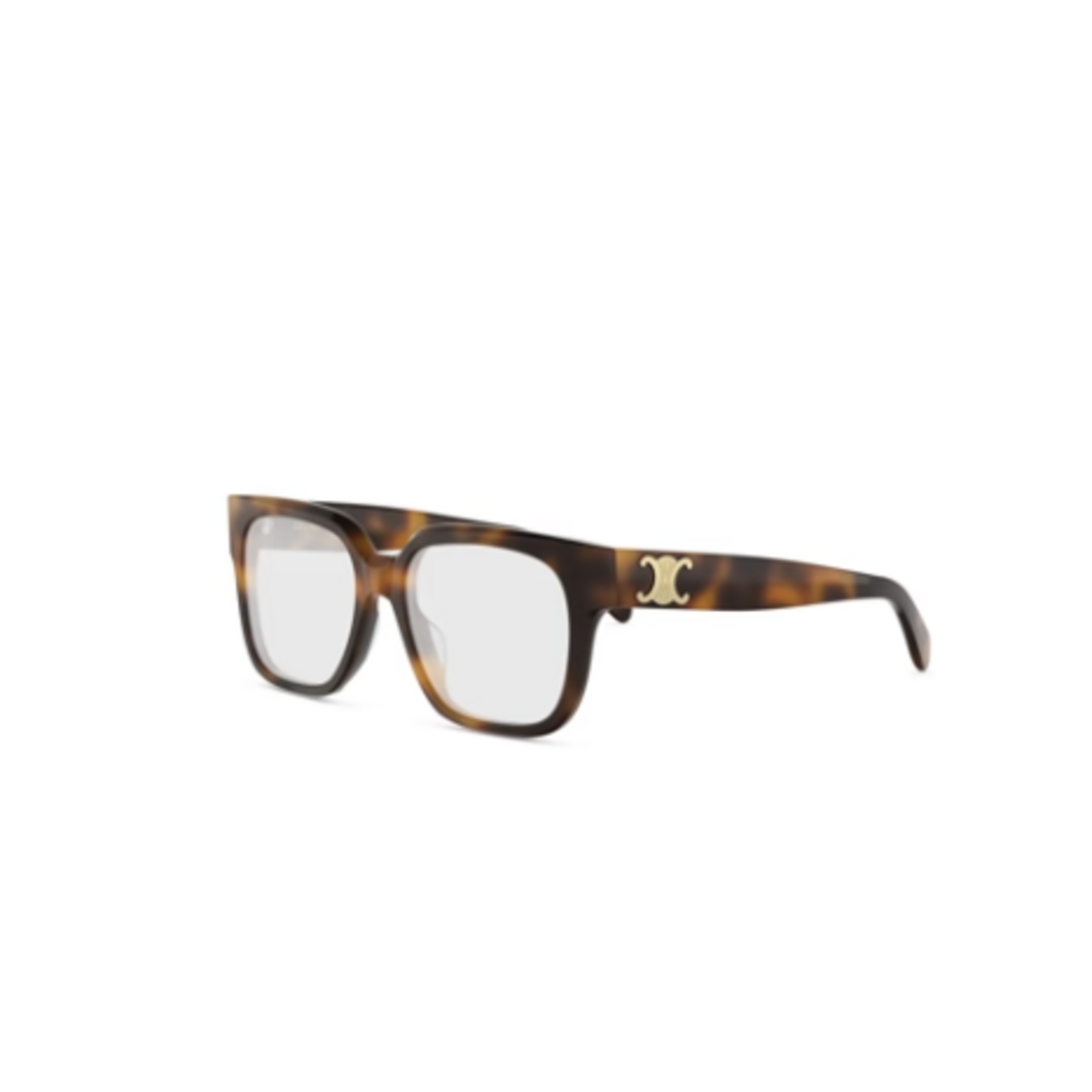 Celine Celine CL50172I