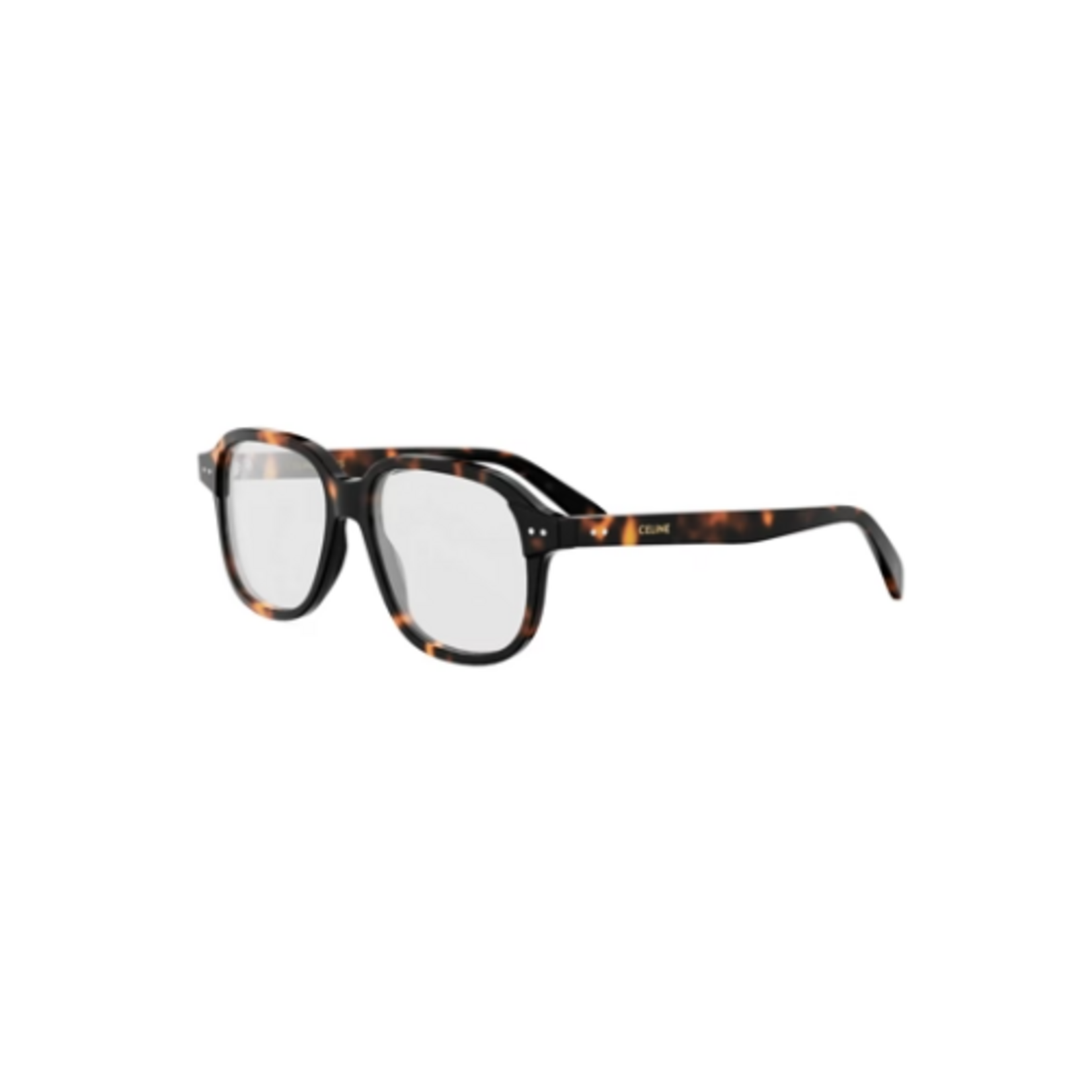 Celine Celine CL50171I