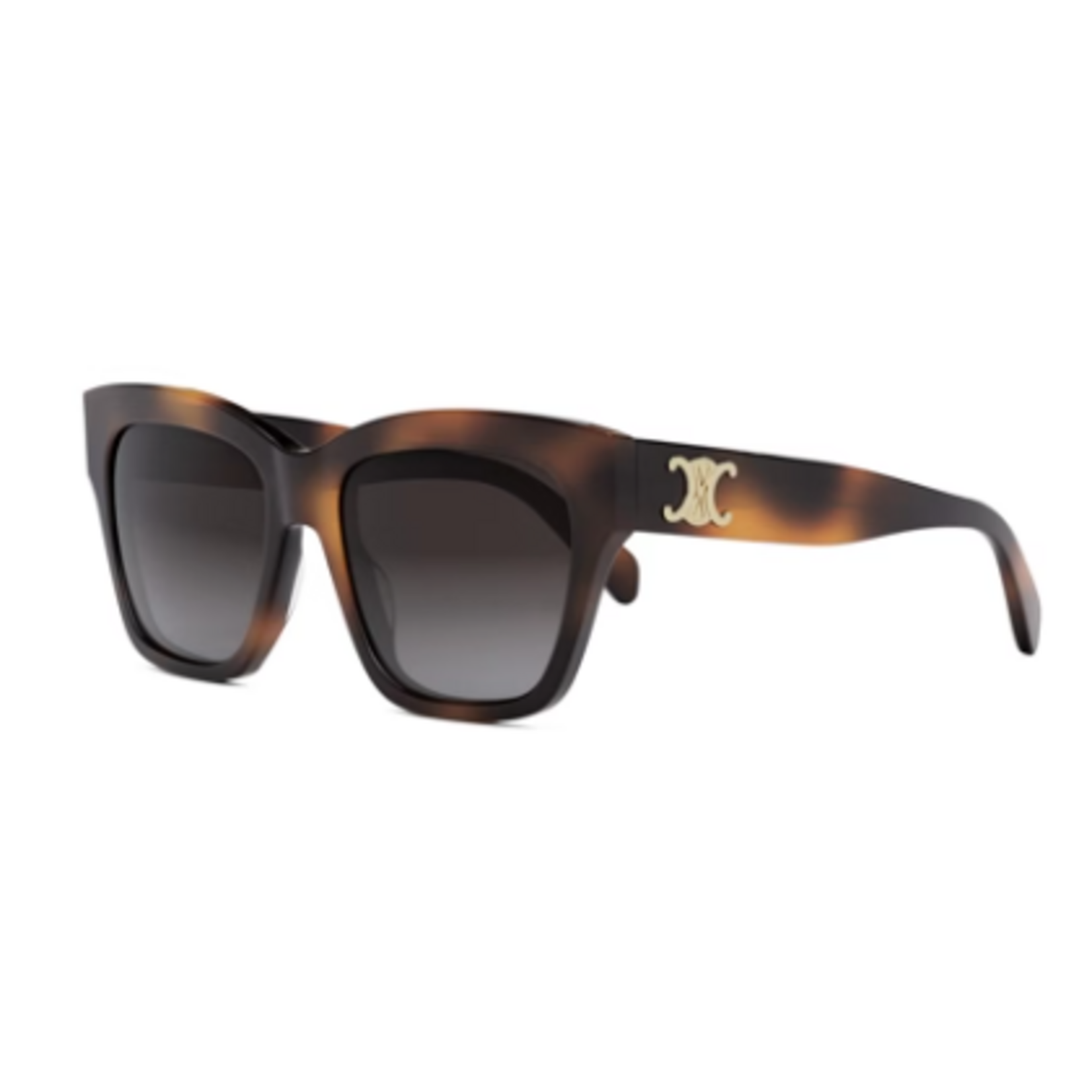 Celine Celine CL40253I