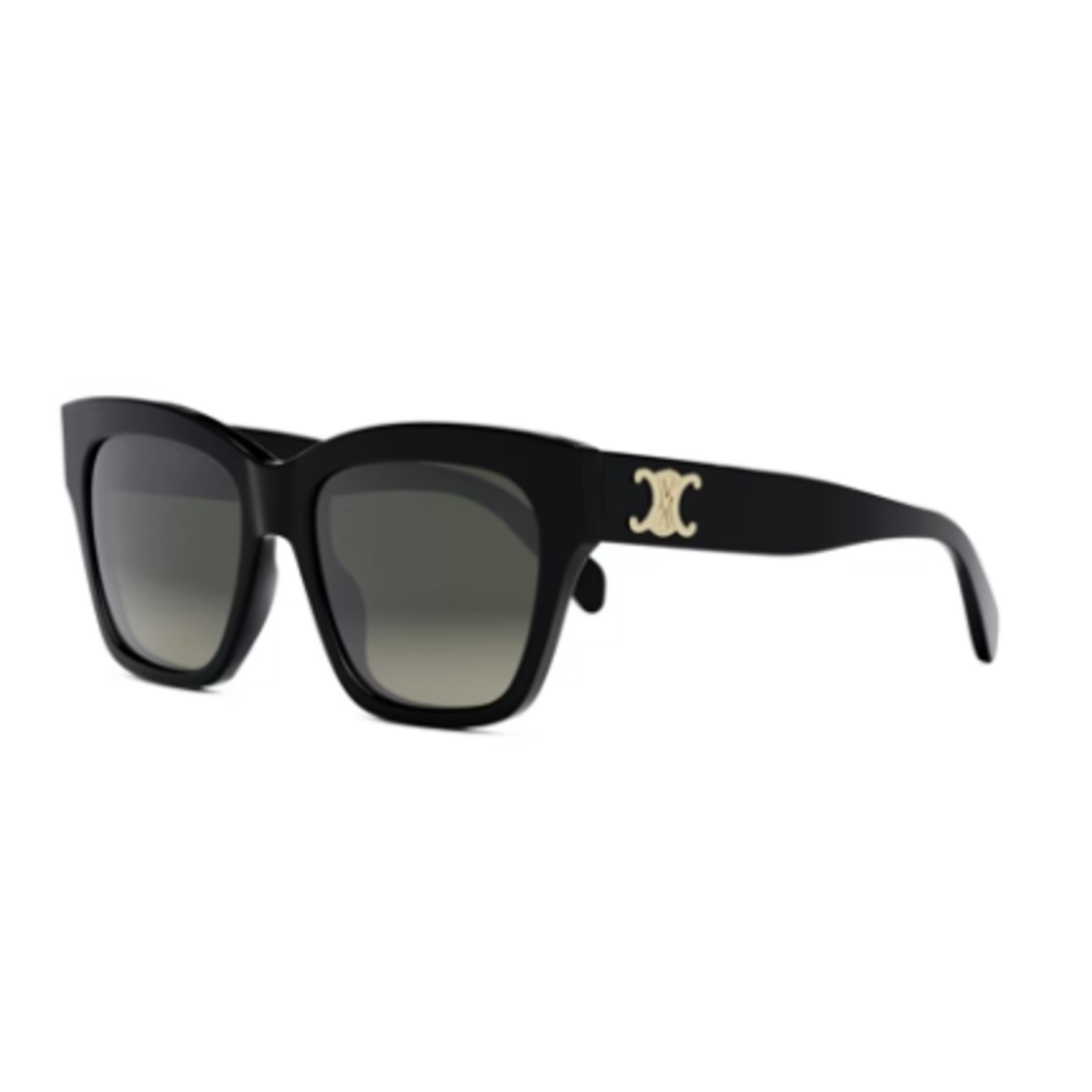 Celine Celine CL40253I