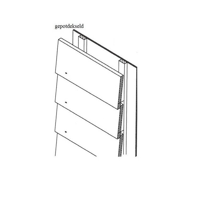 Douglas Plank / Boeideel 25 x 250 mm (2.5 x 25 cm) Fijnbezaagd
