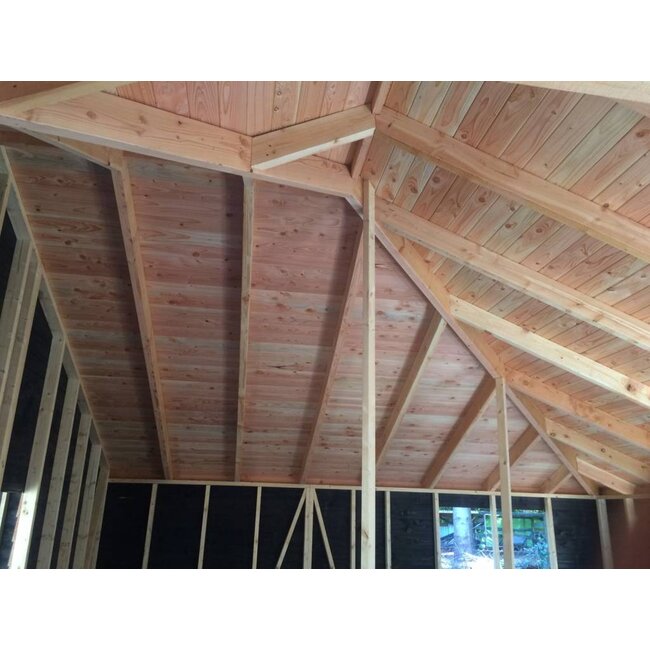 Douglas Balk / Gording / Regel 45 x 145 mm (4.5 x 14.5 cm) Geschaafd