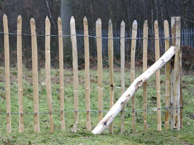 Toevallig Herformuleren begaan Kastanje Hekwerk op Rol - Schapenhekken