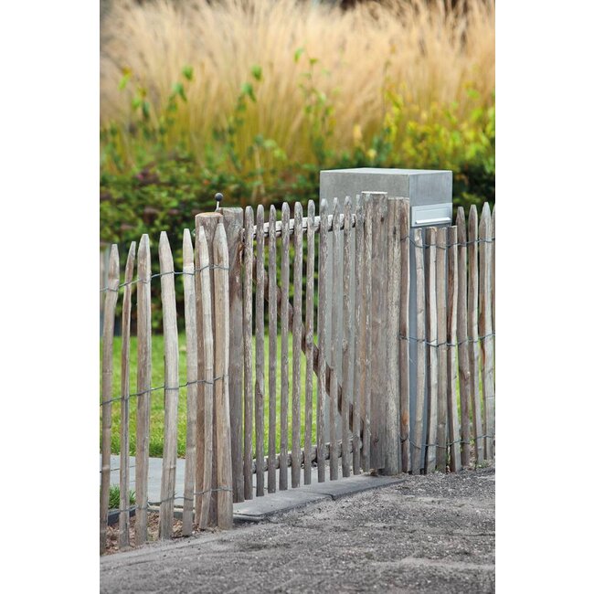 Kastanjepoort B100cm X H120cm