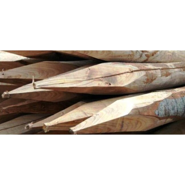 Kastanje Paal | 6-8, 8-10 & 10-12 | Geschild & Gepunt