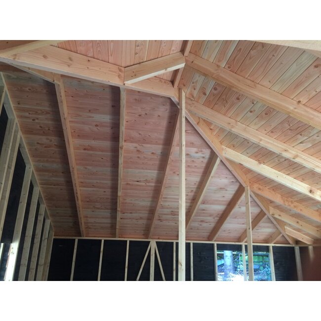 Douglas Balk / Gording / Regel 50 x 150 mm (5 x 15 cm) Fijnbezaagd