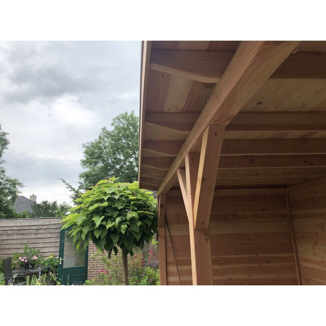 Douglas overkapping met platdak Wijhe