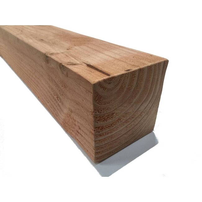 Douglas Palen 10x10 (100x100 mm)