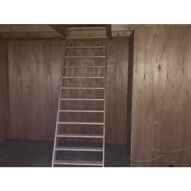 Douglas puntdak schuur met overkapping Wierden