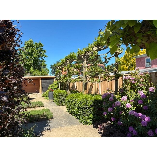 Douglas geschaafd plat dak schuur met overkapping Stadshagen