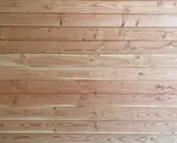 Douglas of geïmpregneerd hout? Verschil, levensduur en prijs vergeleken