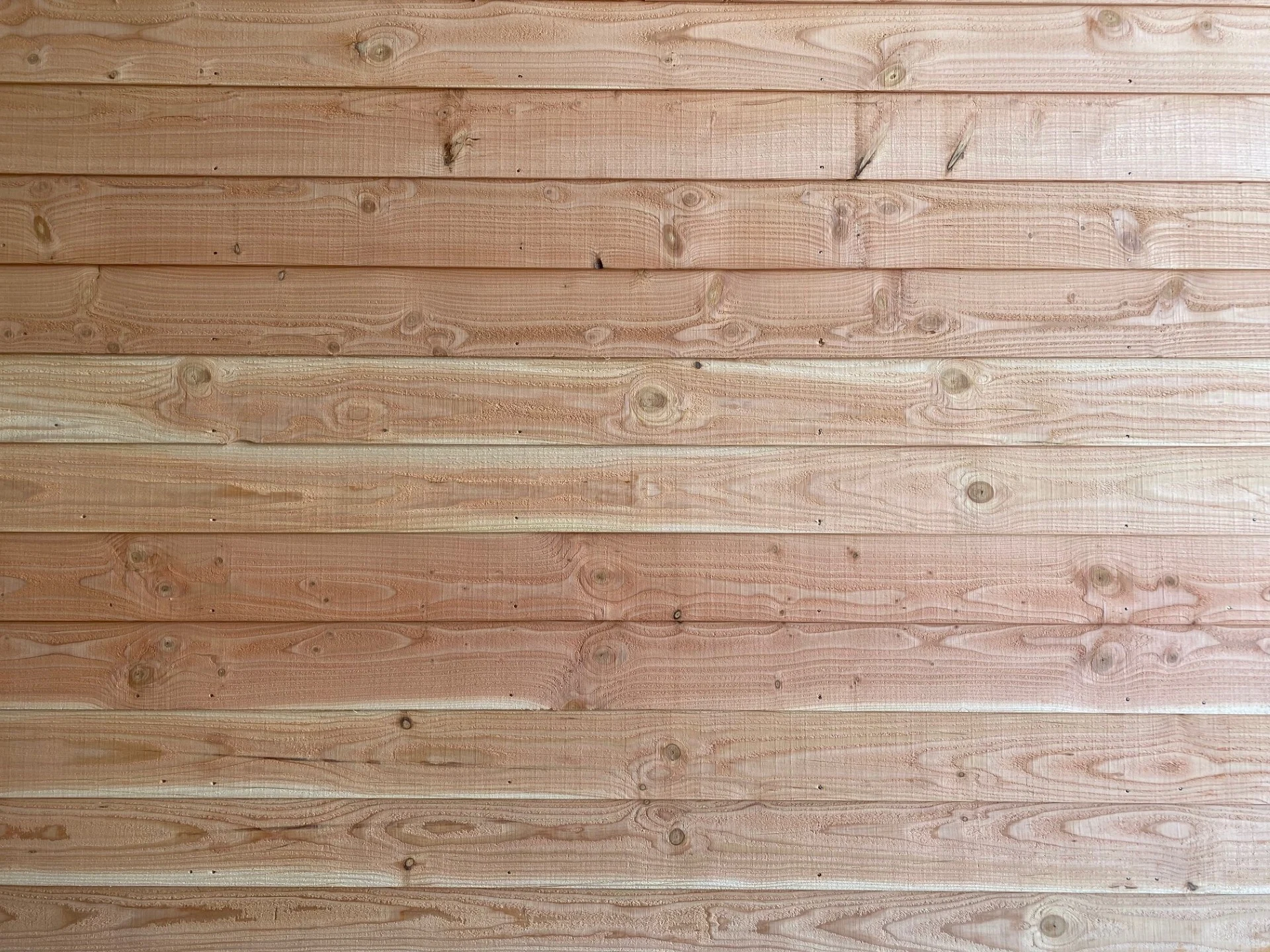 Douglas of geïmpregneerd hout? Verschil, levensduur en prijs vergeleken