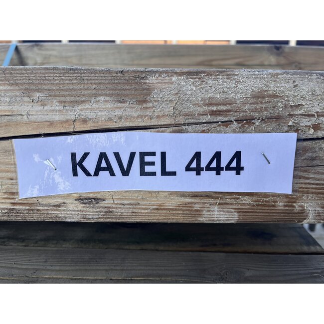 Bundel 444 - Douglas Balken 110x110x3000 mm
