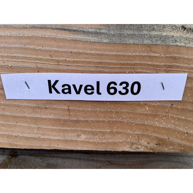 Bundel 630 - Douglas Balken 200x200x6000mm