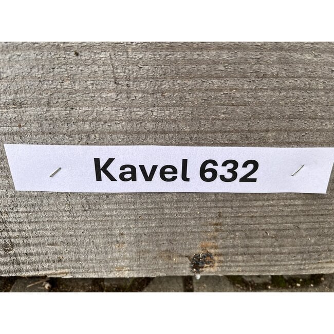 Bundel 632 - Douglas Balken 200x200x6000mm