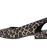 Panara Panara Slingback/Sandaal 4006 - Panterprint