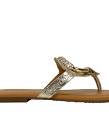 See by Chloé See by Chloé Slipper SB38111A Goud