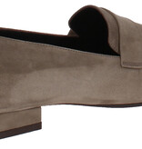 Panara Panara moccasin 3445 taupe suède