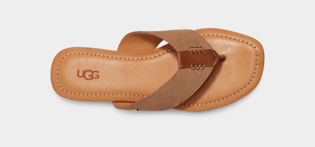 UGG UGG Slipper Carey 1139051 Bruin