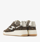 Via Vai VIA VAI Sneakers Sam Levi 62026-14-505 Luipaard